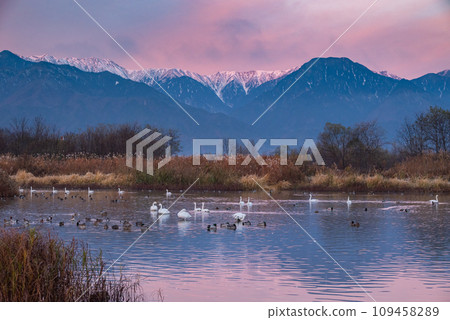 北阿爾卑斯山摩根羅斯【三田湧水池】 109458289