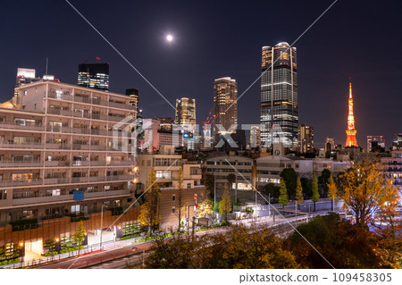 [Tokyo] Night view of Tokyo Tower and skyscrapers 109458305