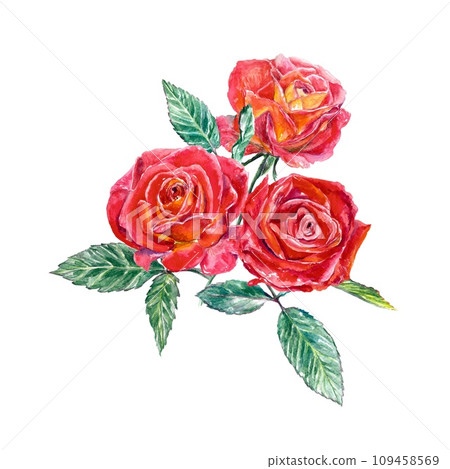 Bouquet of three red roses. Watercolor illustration isolated on white background. Valentines Day greeting cards, wedding invitations, banners, covers. Bouquet of three red roses. Watercolor illustration isolated on white background. Valentines Day greeting cards, wedding invitations, banners, covers. 109458569