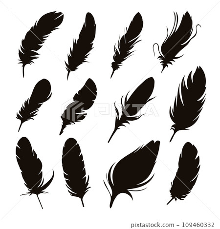 Black silhouettes of a bird feather. Feather collection. Vector isolated on white Black silhouettes of a bird feather. Feather collection. Vector isolated on white 109460332
