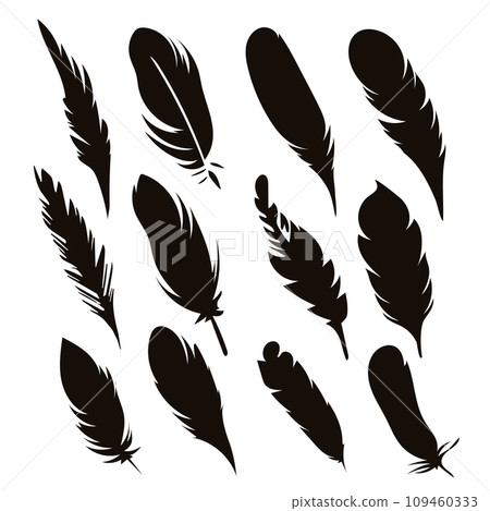 Black silhouettes of a bird feather. Feather collection. Vector isolated on white Black silhouettes of a bird feather. Feather collection. Vector isolated on white 109460333