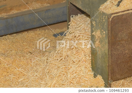 Yellow Natural Wood Sawdust Waste and Recycling Wood in Industrial Plant Machine Tool Industry Yellow Natural Wood Sawdust Waste and Recycling Wood in Industrial Plant Machine Tool Industry 109461293