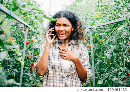 In the fresh air of the greenhouse, a joyful woman farmer talks on her phone, clutching ripe tomatoes. Technology aids farm-to-community communication, nurturing growth and happiness. 109461483