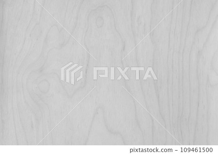 Light White Smooth Surface With Abstract Natural Wood Pattern Texture Boards Background Wooden Light White Smooth Surface With Abstract Natural Wood Pattern Texture Boards Background Wooden 109461500