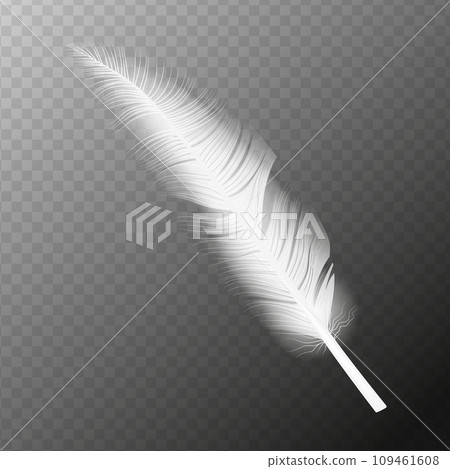 White feather. Flying realistic vector white feather. Isolated vector illustration EPS10 109461608