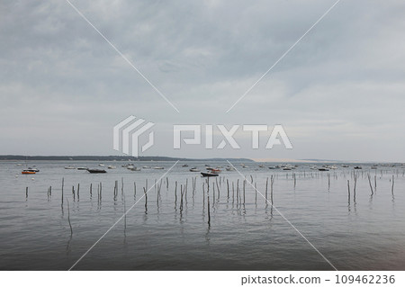 Boating and oyster bed stakes 109462236