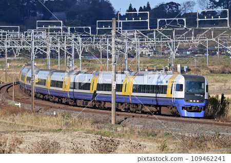 總武本線櫻花物井 JR 東日本 255 系列 Be-05 編隊（幕張）若潮 Sazanami Shiosai 109462241