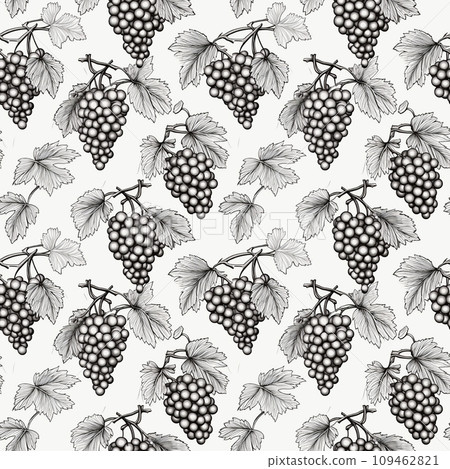 Grape Sketch Seamless Pattern, Hand Drawn Vine Grapes, Sketched Vineyard Design, Engraving Berries 109462821