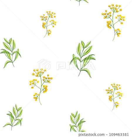 Spring pattern with yellow flowers and green branches of leaves. Plants in transparent style. Watercolor illustration isolated on white. For Valentines day, mothers day textile, wallpaper 109463381