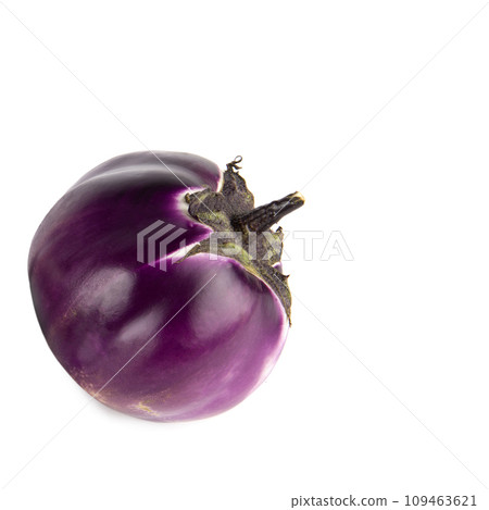 Eggplant isolated on a white. Free space for text. Eggplant isolated on a white. Free space for text. 109463621