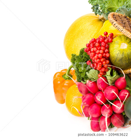 Set of vegetables and fruits isolated on a white . Free space for text. 109463622