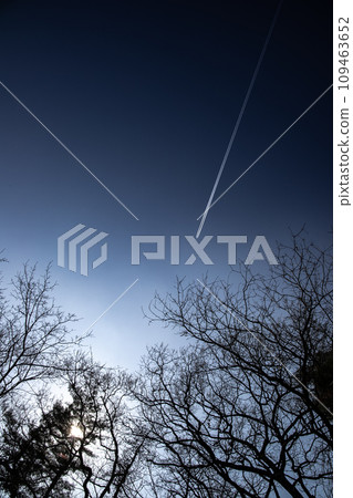 deep blue sky and contrails deep blue sky and contrails 109463652