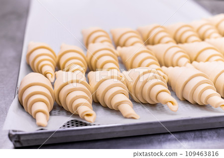Close-up of rows of small croissants, traditional French cuisine dish on a baking sheet and paper sheet, preparing to be cooked in the oven. buttery puff pastry 109463816