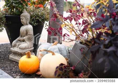Buddha statue and pumpkin on the street Buddha statue and pumpkin on the street 109465088