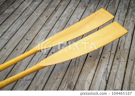 blades of wooden rowing oars against rustic, grunge wood deck blades of wooden rowing oars against rustic, grunge wood deck 109465187