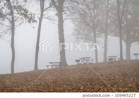 foggy November morning on a shore of the Tennessee River at Colbert Ferry Park, Natchez Trace National Parkway 109465227
