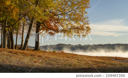 Tennessee River at Colbert Ferry Park, Natchez Trace National Parkway, late November scenery Tennessee River at Colbert Ferry Park, Natchez Trace National Parkway, late November scenery 109465300