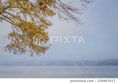 foggy November morning over the Tennessee River at Colbert Ferry Park, Natchez Trace Parkway foggy November morning over the Tennessee River at Colbert Ferry Park, Natchez Trace Parkway 109465457