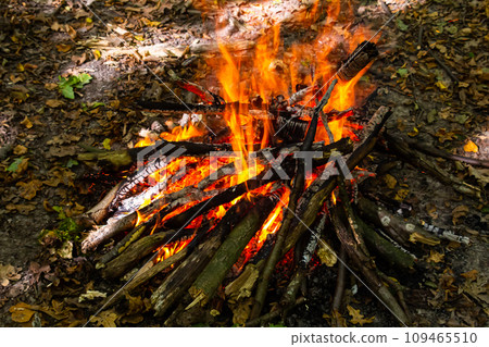 Flame of charcoal fire. Hearth for cooking and heating. Danger in forest 109465510