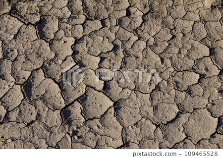 Wall texture soil dry crack pattern of drought lack of water of nature brown old broken background Wall texture soil dry crack pattern of drought lack of water of nature brown old broken background 109465528