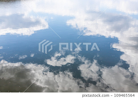 Calm water surface. Summer evening near a forest lake, the surface of the water is smooth, with small waves. The sky with clouds is reflected from the surface, coloring the water in different colors 109465564