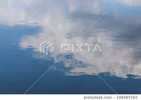 Calm water surface. Summer evening near a forest lake, the surface of the water is smooth, with small waves. The sky with clouds is reflected from the surface, coloring the water in different colors 109465565