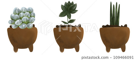 Watercolor set of succulents in a pot, watercolor cactus illustration isolated on white background. Botanical illustration, houseplan, plant growing 109466091