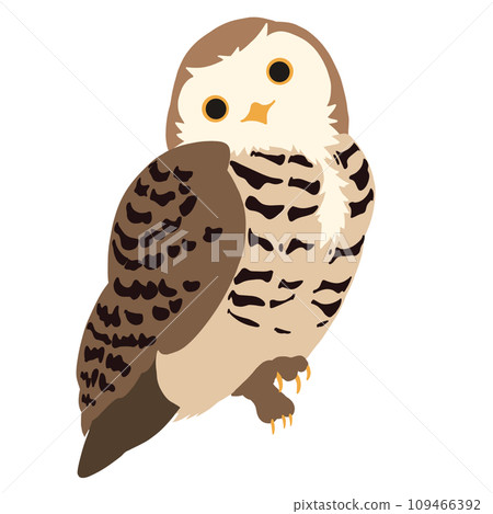 Owl simple color silhouette illustration Owl simple color silhouette illustration 109466392