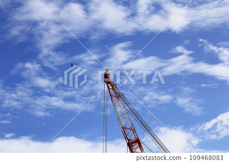 鶴伸長空,魚鷹飛過 鶴伸長空,魚鷹飛過 109468083