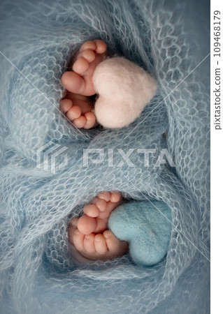 Feet of newborn twins. Two pairs of baby feet in a blue blanket. Pink and blue knitted hearts. Close up - toes, heels and feet of a newborn. Newborn twins brothers, sisters. Studio macro photograph.  109468179
