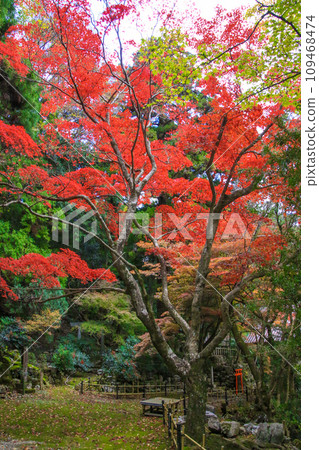 Shohoji Temple 109468474