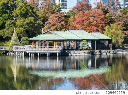 Tokyo, Hamarikyu Gardens, Nakajima Tea House, Autumn leaves and tidal pond 109469659