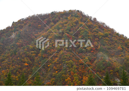 Autumn leaves in the mountains View from Yuzawa Central Park Autumn scenery 109469781