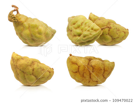 Cynometra cauliflora fruits isolated on white background 109470022