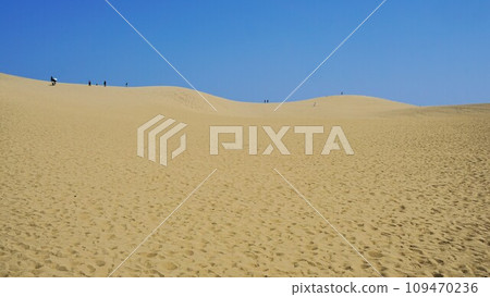 Scenery of Tottori sand dune Scenery of Tottori sand dune 109470236