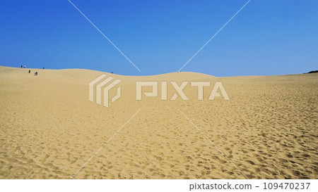 鳥取沙丘的風景 109470237