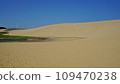 鳥取沙丘的綠洲 109470238