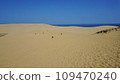 鳥取沙丘的風景 109470240