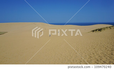 鳥取沙丘的風景 109470240
