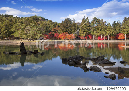 秋葉、毛越寺大泉池和立石 秋葉、毛越寺大泉池和立石 109470303