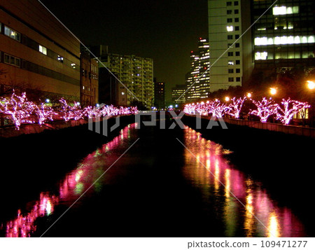 Meguro River Everyone's Illumination 2012 109471277