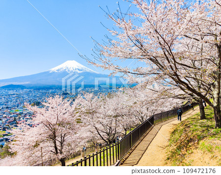 新倉山淺間公園（春季） 109472176