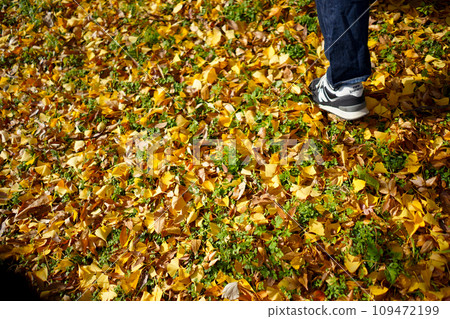 名古屋富田公園秋葉 名古屋富田公園秋葉 109472199