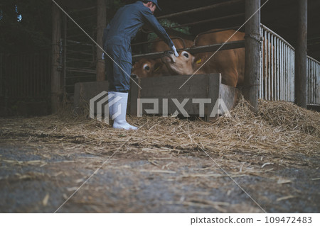 gents, male, males 109472483