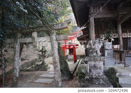 Scenery of Yamaguchi Daijingu Shrine in late autumn 109472496