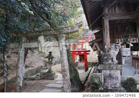 Scenery of Yamaguchi Daijingu Shrine in late autumn Scenery of Yamaguchi Daijingu Shrine in late autumn 109472498