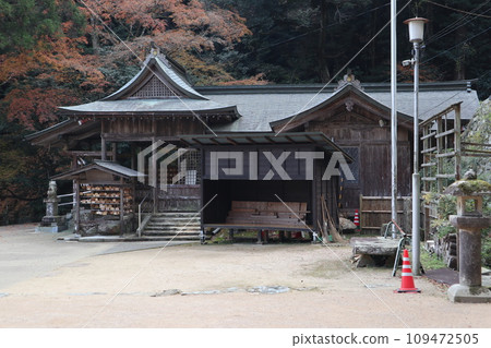 Scenery of Yamaguchi Daijingu Shrine in late autumn 109472505