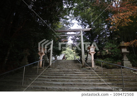 山口大神宮深秋景色 109472508