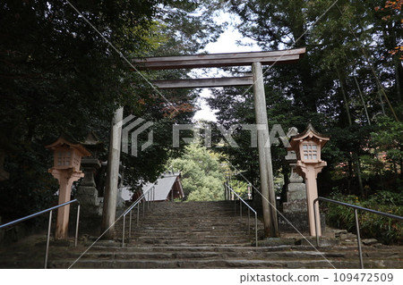 山口大神宮深秋景色 109472509