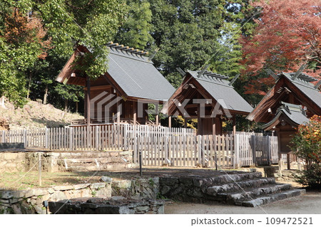 山口大神宮深秋景色 109472521